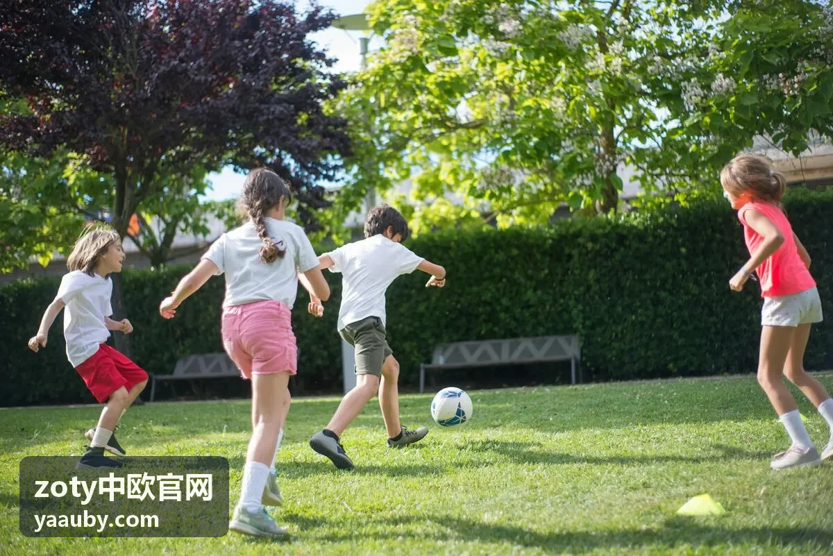zoty中欧官网市场调研与选品服务