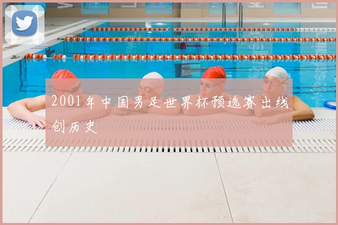 2001年中国男足世界杯预选赛出线创历史