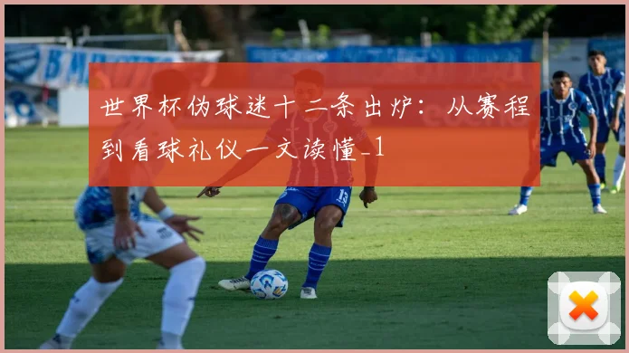 世界杯伪球迷十二条出炉:从赛程到看球礼仪一文读懂_1
