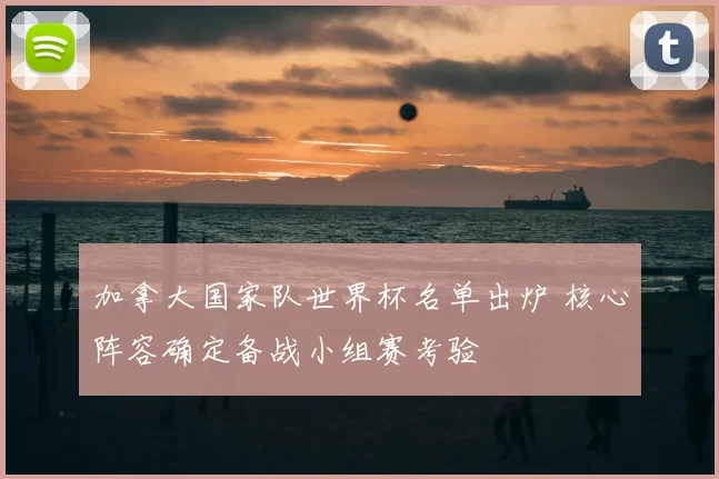 加拿大国家队世界杯名单出炉 核心阵容确定备战小组赛考验