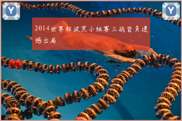 2014世界杯波黑小组赛三战皆负遗憾出局